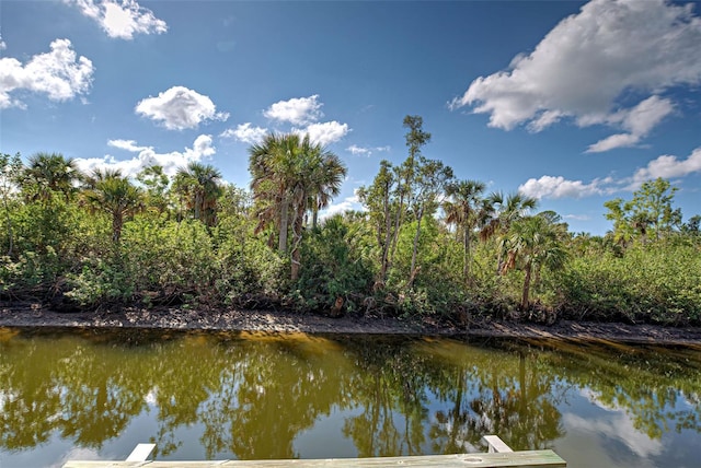 view of water feature with a boat dock