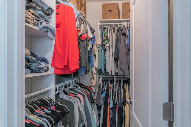 view of spacious closet