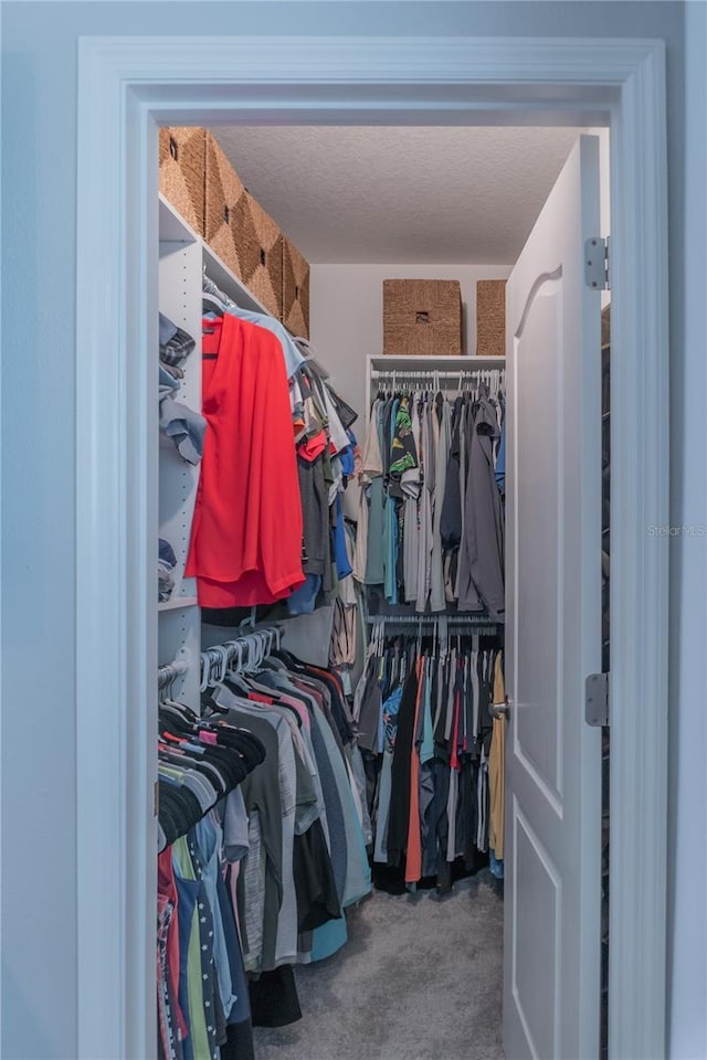 spacious closet featuring carpet floors