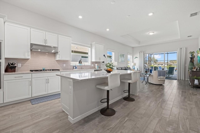 kitchen with gas stovetop, a raised ceiling, white cabinetry, a kitchen island, and under cabinet range hood