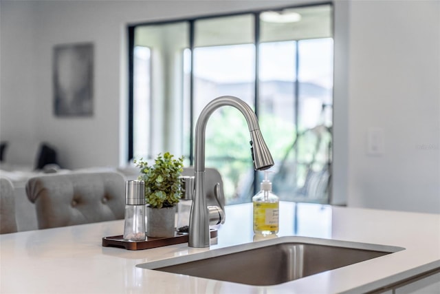 interior details featuring light countertops and a sink