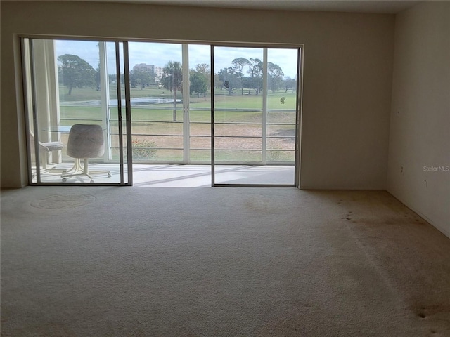 empty room with carpet flooring