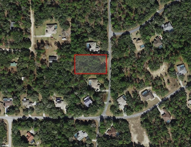 3814 N Eisenhower Ave, Hernando FL, 34442 land for sale