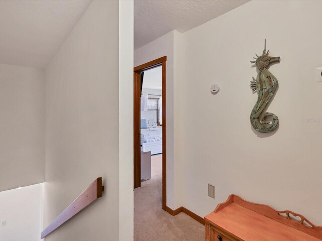 7717 27th Ave W, Bradenton, FL 34209 - photo 28