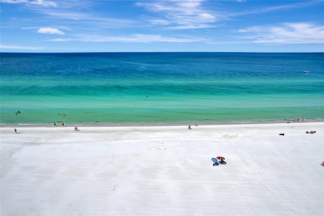 property view of water with a beach view