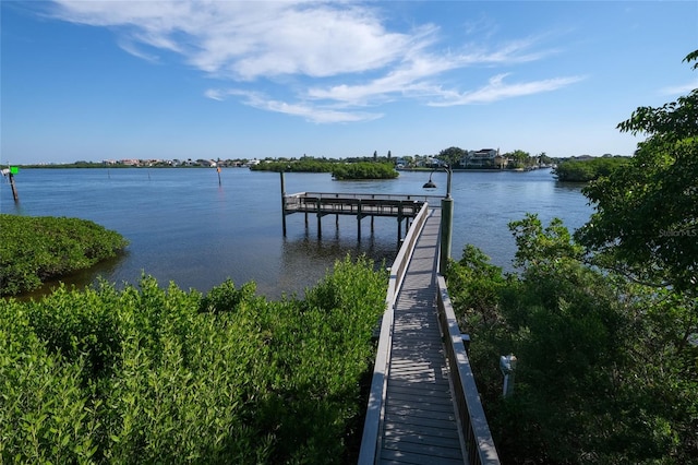 dock area with a water view