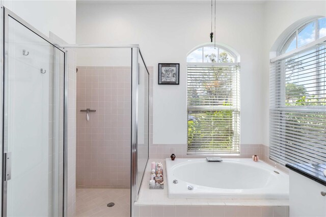 10306 Palmbrooke Ter, Bradenton, FL 34202 - full bath with a garden tub, healthy amount of natural light, and a stall shower