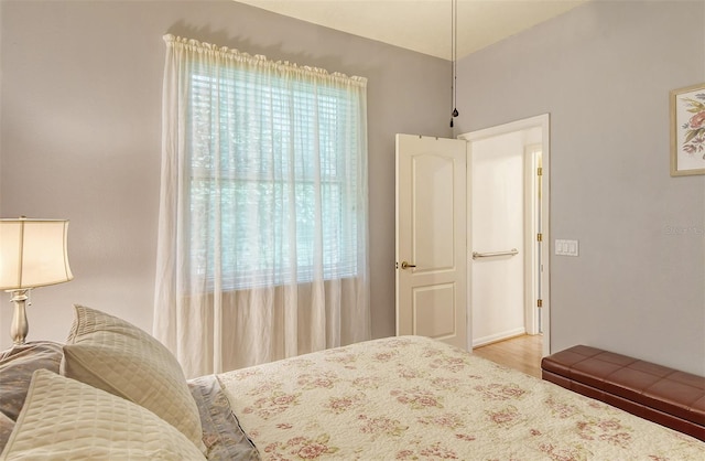 bedroom with multiple windows and wood finished floors