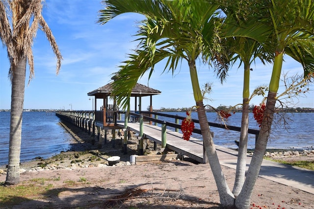 dock area with a water view