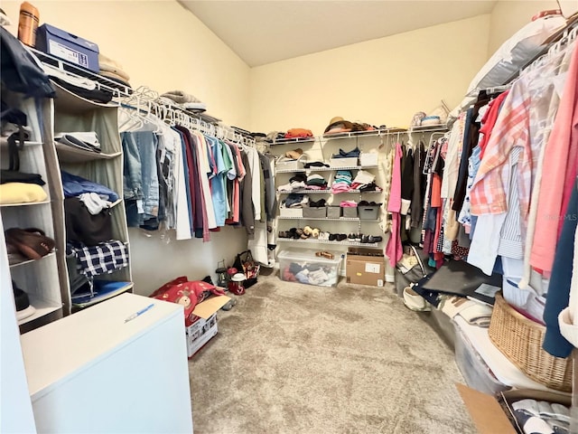 spacious closet with carpet