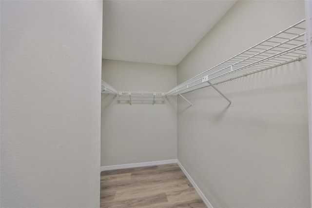 walk in closet featuring wood finished floors