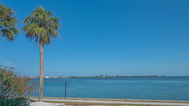 property view of water