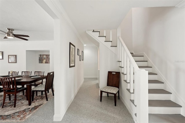 stairway with baseboards, carpet flooring, a ceiling fan, and crown molding