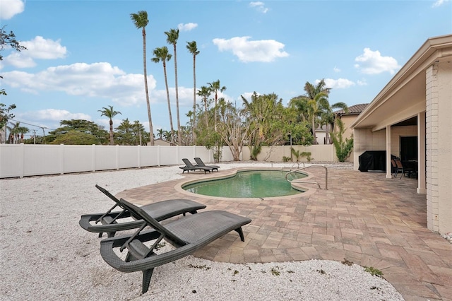 view of pool featuring a fenced in pool, a fenced backyard, and a patio