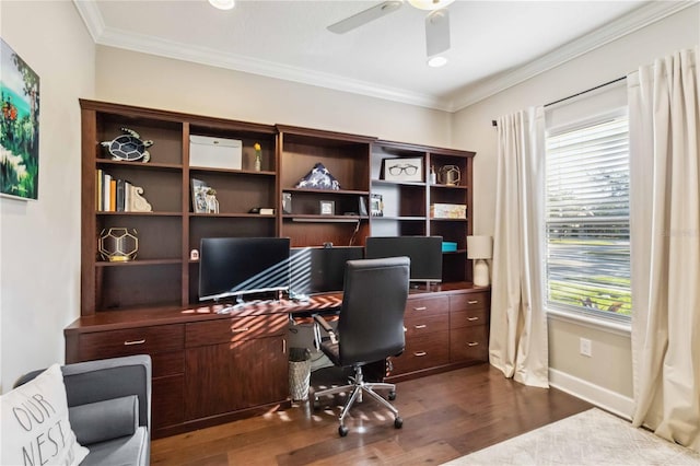 office area with dark wood-style floors, baseboards, a ceiling fan, and crown molding