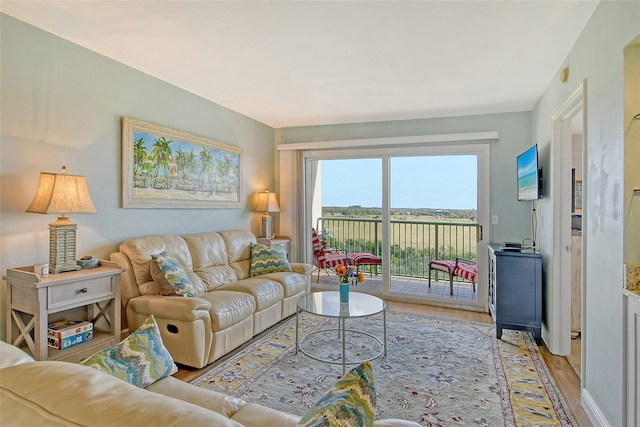 2320 Terra Ceia Bay Blvd Unit 808, Palmetto, FL 34221 - living room featuring light wood-type flooring