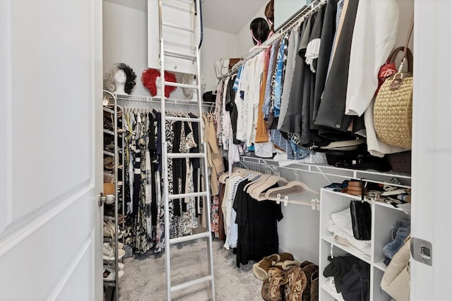 spacious closet with carpet flooring