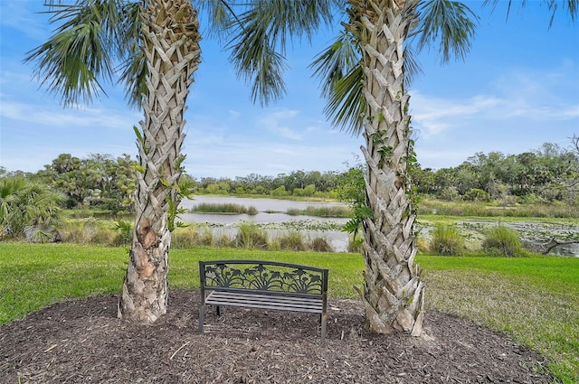 surrounding community featuring a lawn