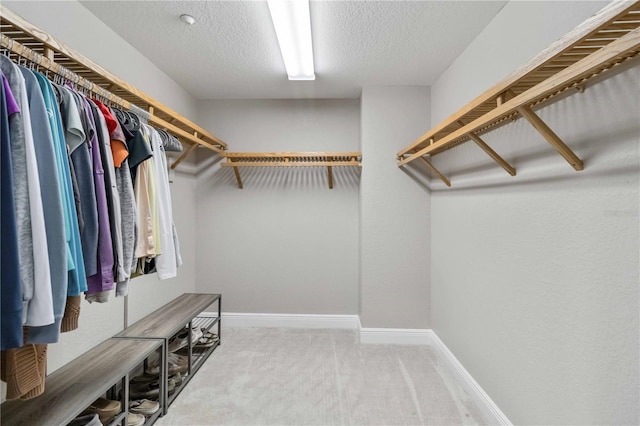 spacious closet featuring carpet flooring