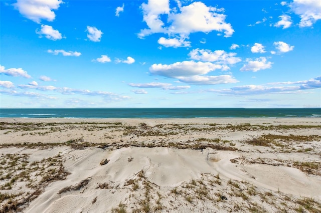 water view featuring a beach view