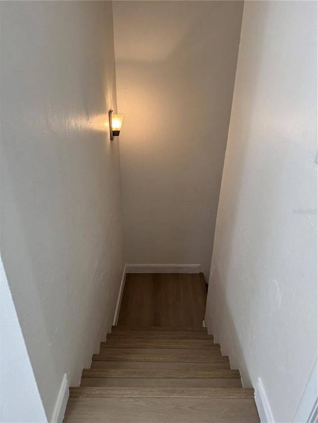 staircase featuring wood finished floors