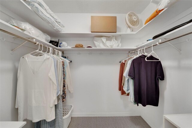 2 Antigua Cir Unit 4, Englewood, FL 34223 - walk in closet featuring carpet floors