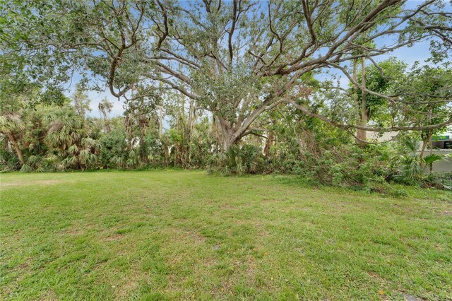 2 Antigua Cir Unit 4, Englewood, FL 34223 - view of yard