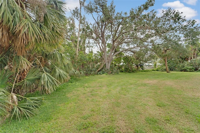2 Antigua Cir Unit 4, Englewood, FL 34223 - view of yard