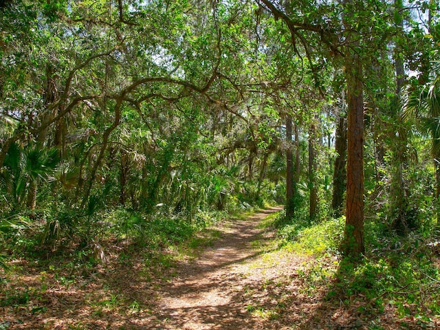 view of nature featuring a wooded view