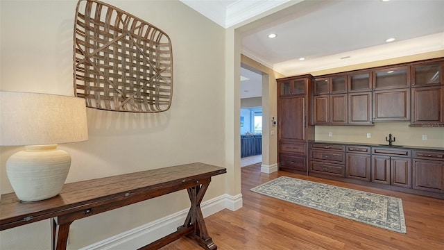 interior space featuring ornamental molding, a sink, dark brown cabinets, wood finished floors, and baseboards