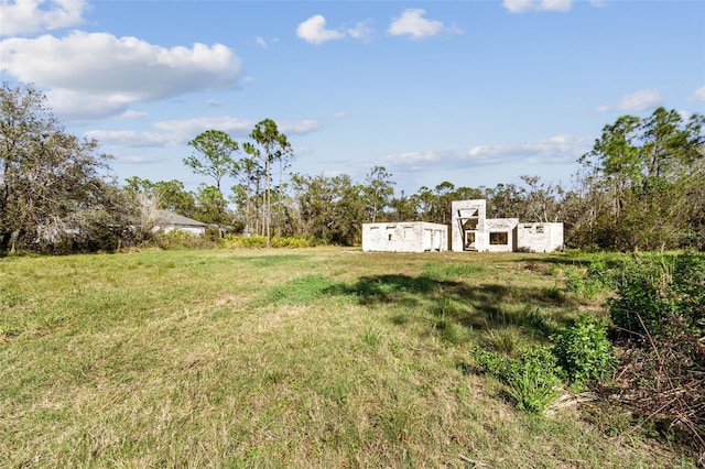 view of yard