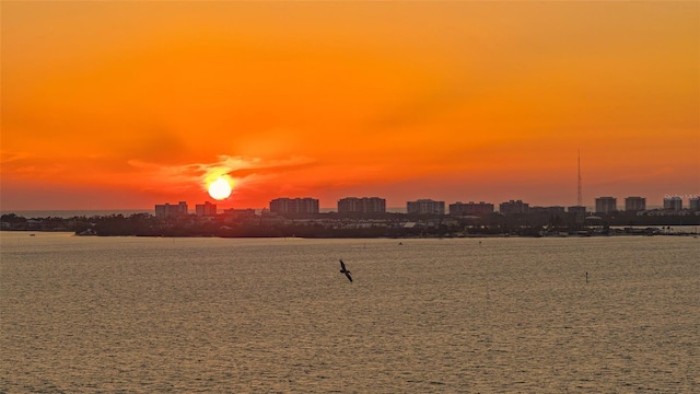 35 Watergate Dr Unit 1101, Sarasota, FL 34236 - photo 72