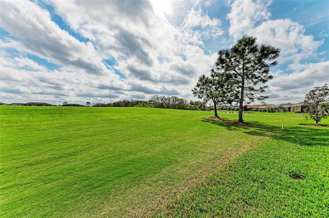 view of yard featuring a rural view