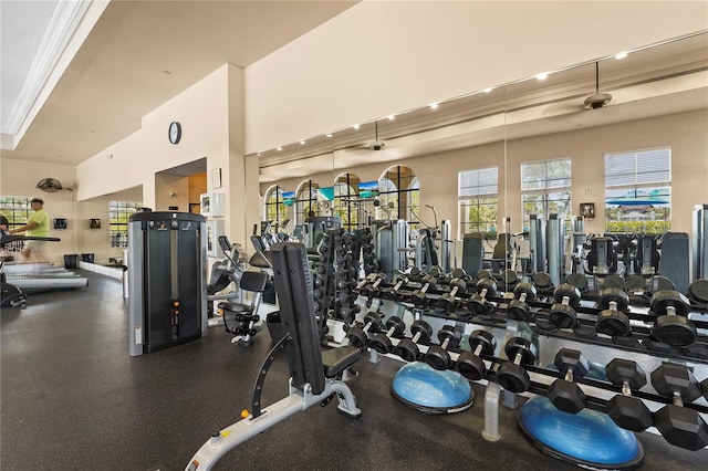 gym featuring high vaulted ceiling