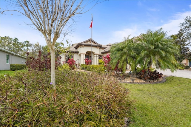 view of front of home with a front lawn and stucco siding