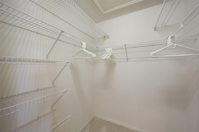 view of walk in closet