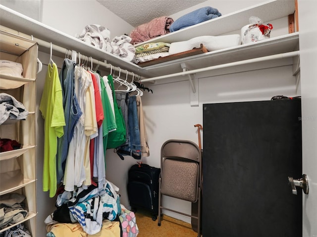 view of walk in closet