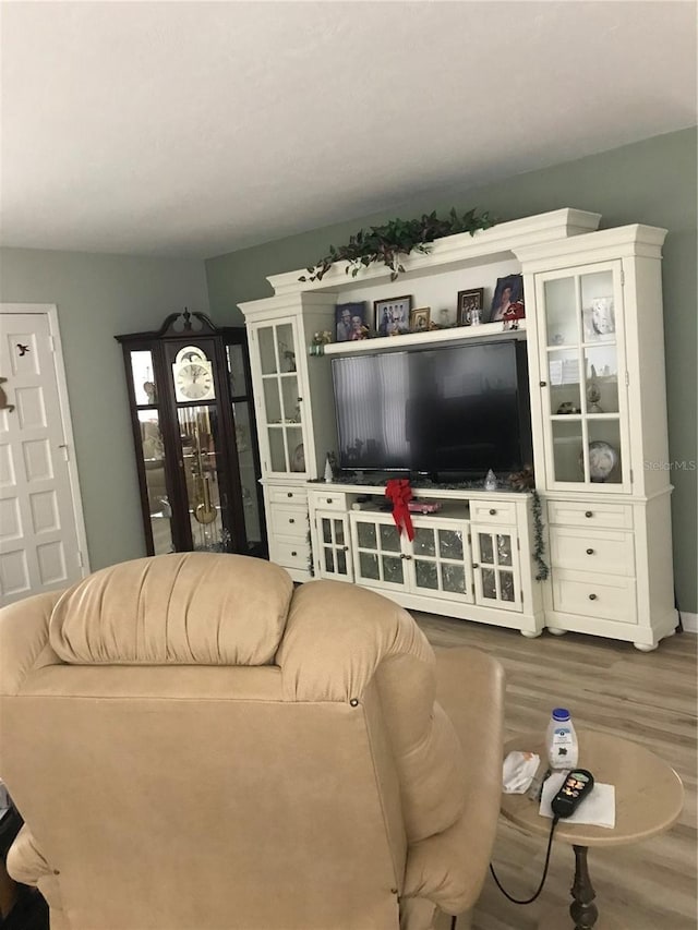 living area with wood finished floors