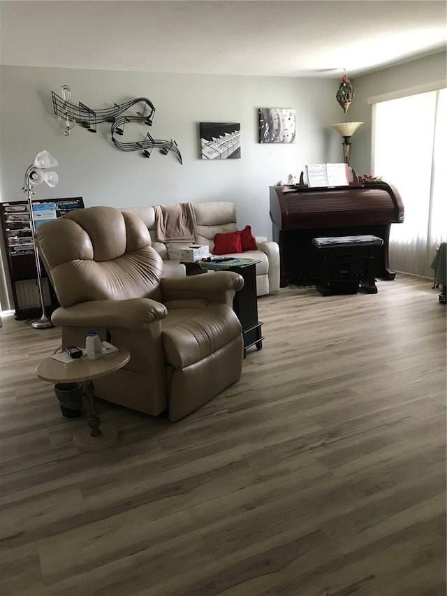 living room with wood finished floors