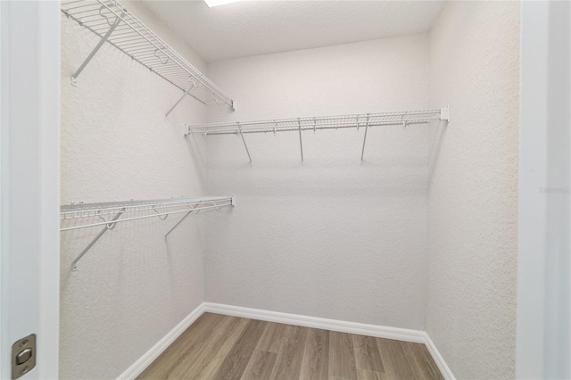 spacious closet featuring wood finished floors