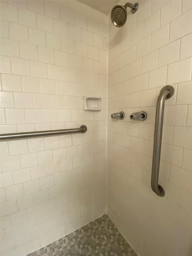 3658 Lake Bayshore Dr Unit 320, Bradenton, FL 34205 - full bath featuring a tile shower