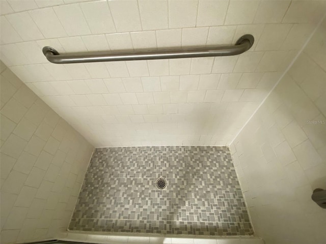 3658 Lake Bayshore Dr Unit 320, Bradenton, FL 34205 - bathroom featuring a tile shower
