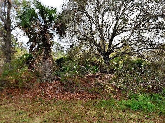 Listing photo 2 for Fling Ave, North Port FL 34291