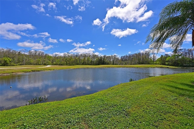 property view of water