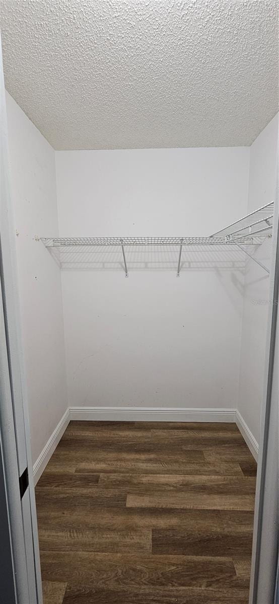 spacious closet featuring dark wood finished floors