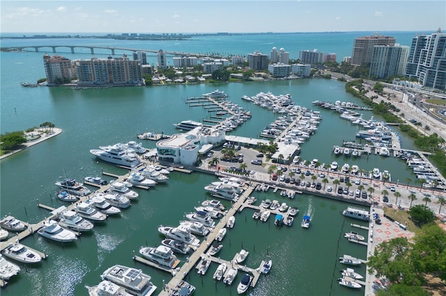 drone / aerial view with a water view and a city view