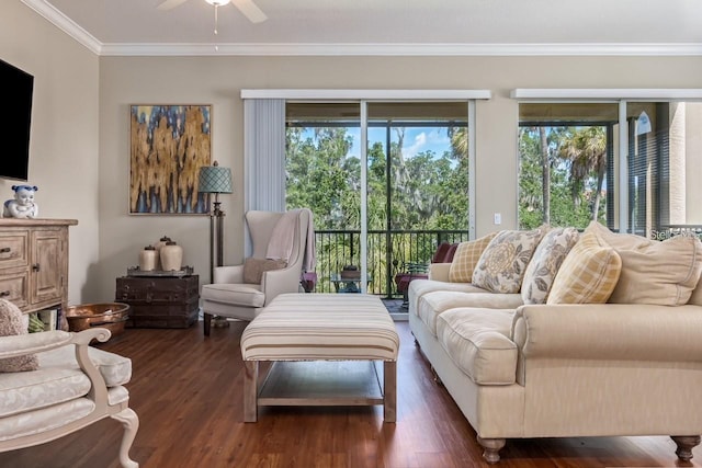 living room with a ceiling fan, ornamental molding, and wood finished floors