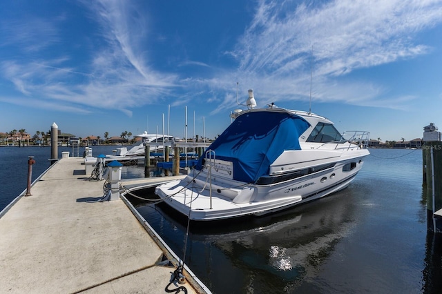 dock area with a water view