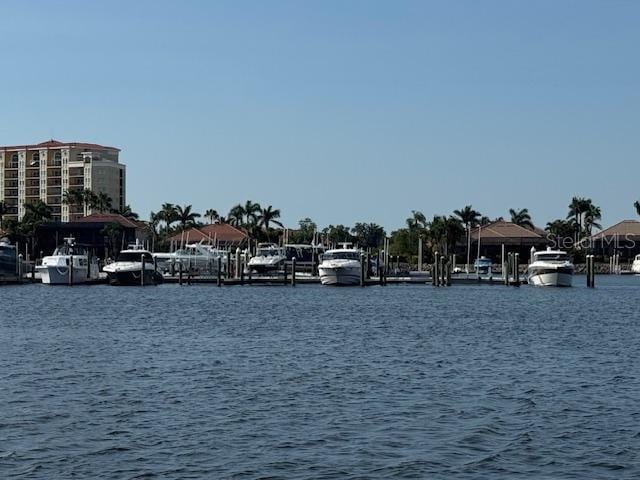 1318 3rd Street Cir E, Palmetto, FL 34221 - water view with a dock