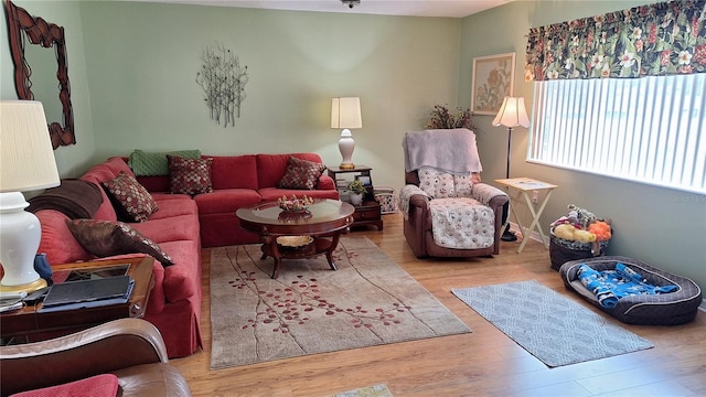 living room with wood finished floors